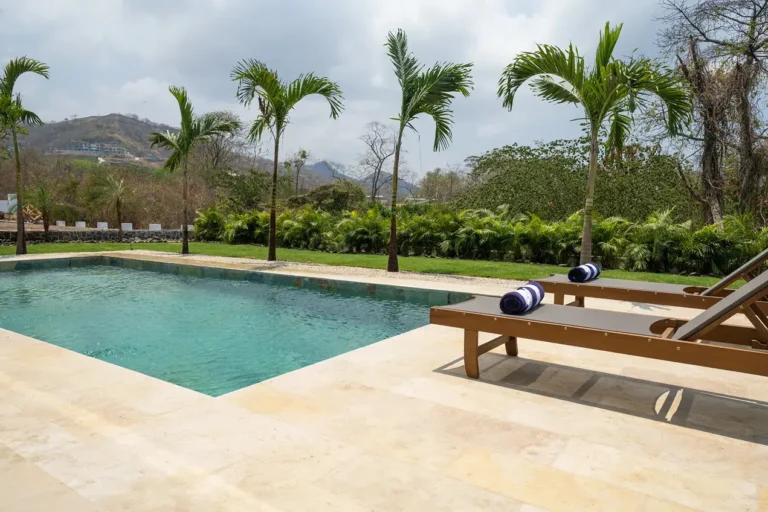 Pool framed by palm trees and tropical greenery seen from the shaded terrace.